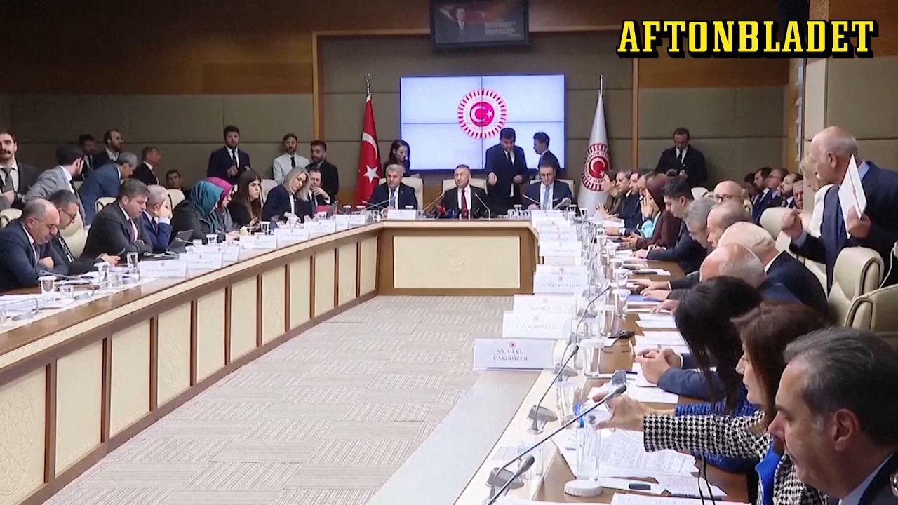 Turkiska utrikesutskottet säger ja till Sverige i Nato