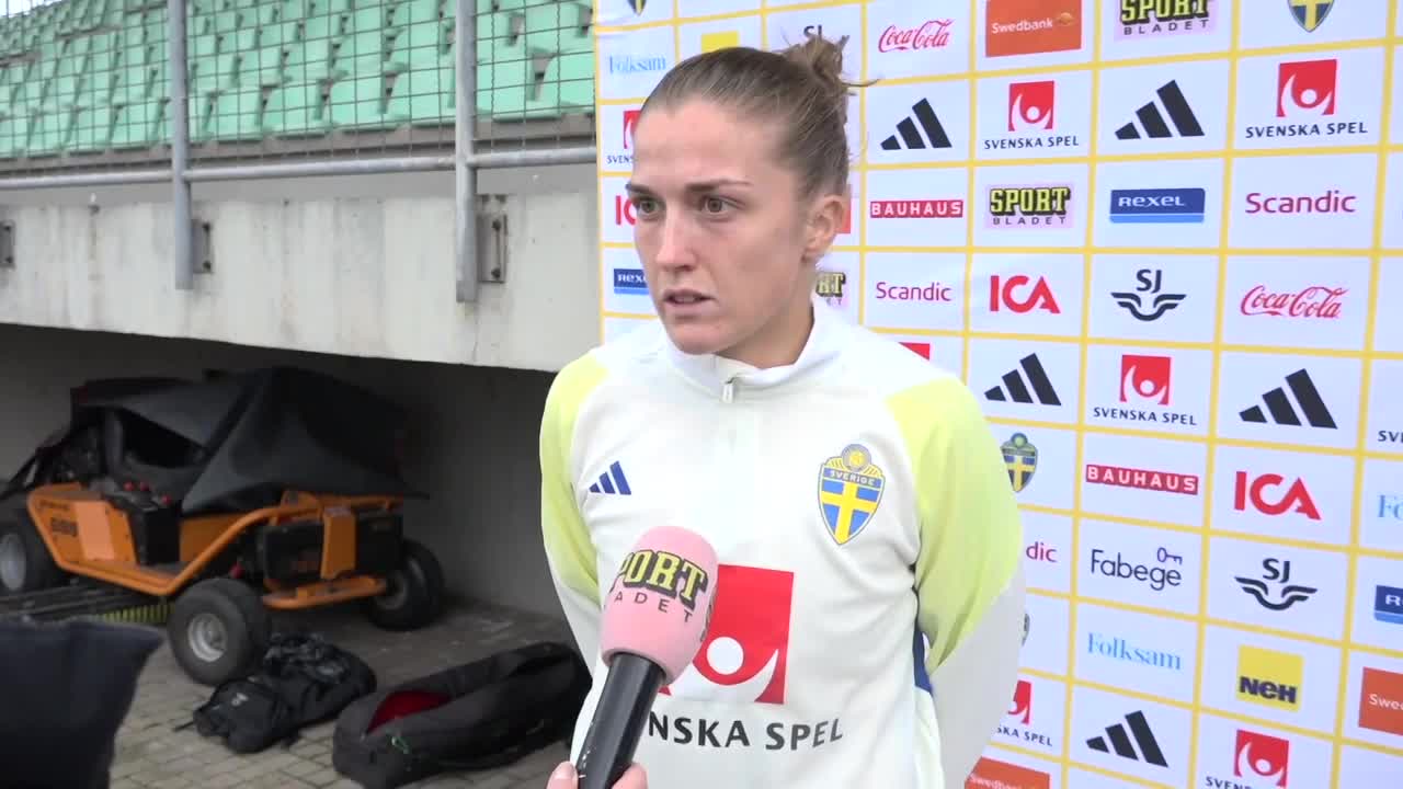 Hör Angeldahl efter krossen mot Bosnien