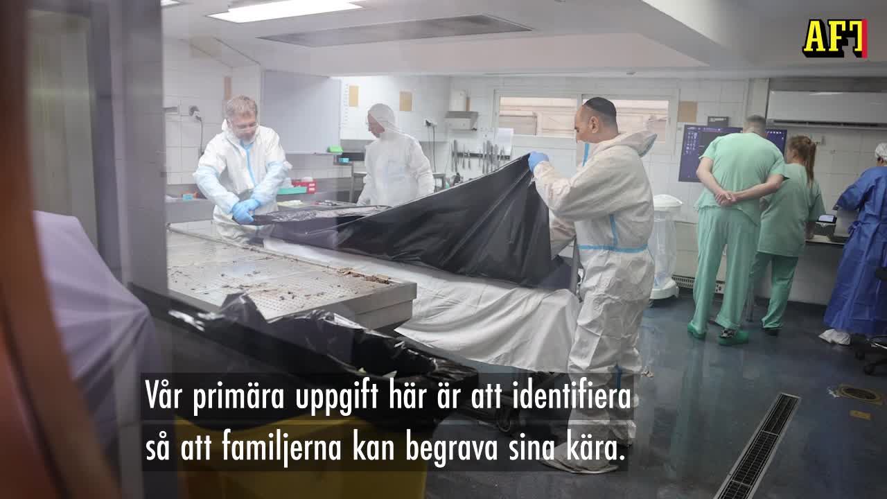 Bårhuset i Tel Aviv – ”Jag är en tuff kille men jag gråter inombords”