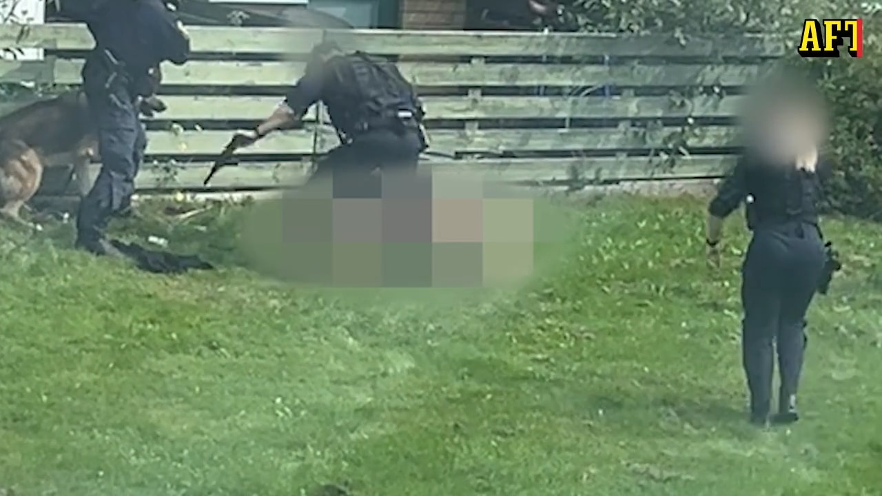 Här blir kvinnan skjuten i benet av polis