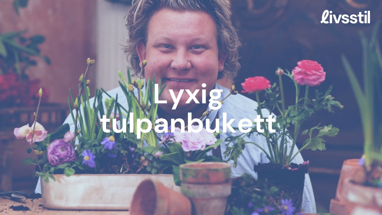 Karl Fredriks bästa tips - så skapar du en lyxig tulpanbukett