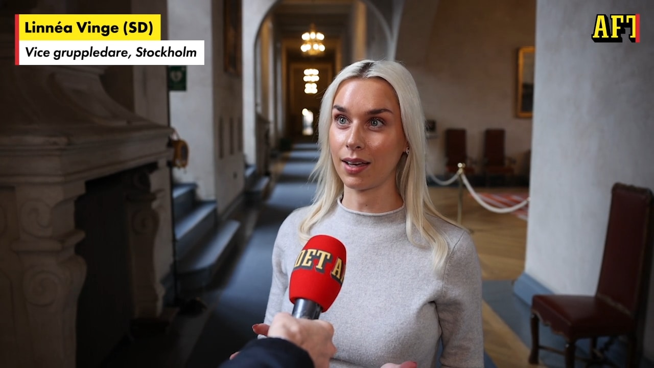 Linnéa Vinge: Har ansetts ofint att vara Sverigedemokrat