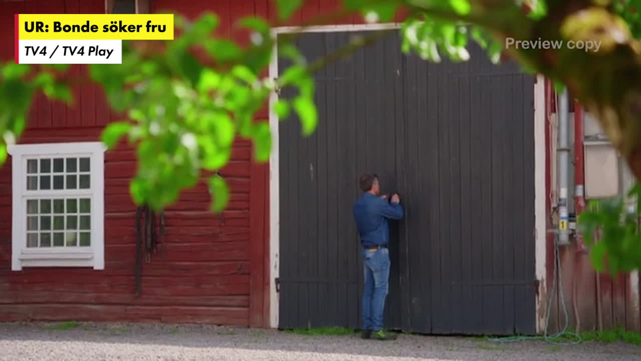 Strutsbonden Michael förlorade sin fru – söker kärleken på nytt