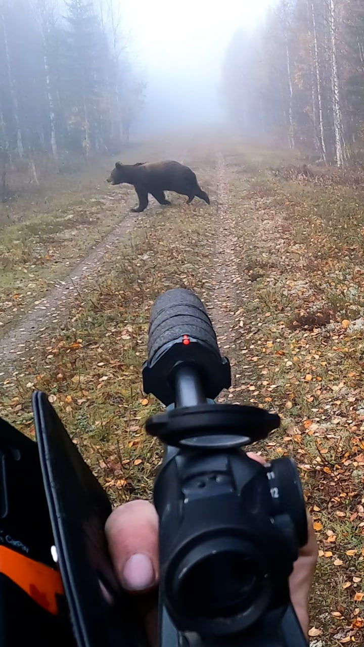 Jaktbrottet filmas – norsk tv-stjärna döms