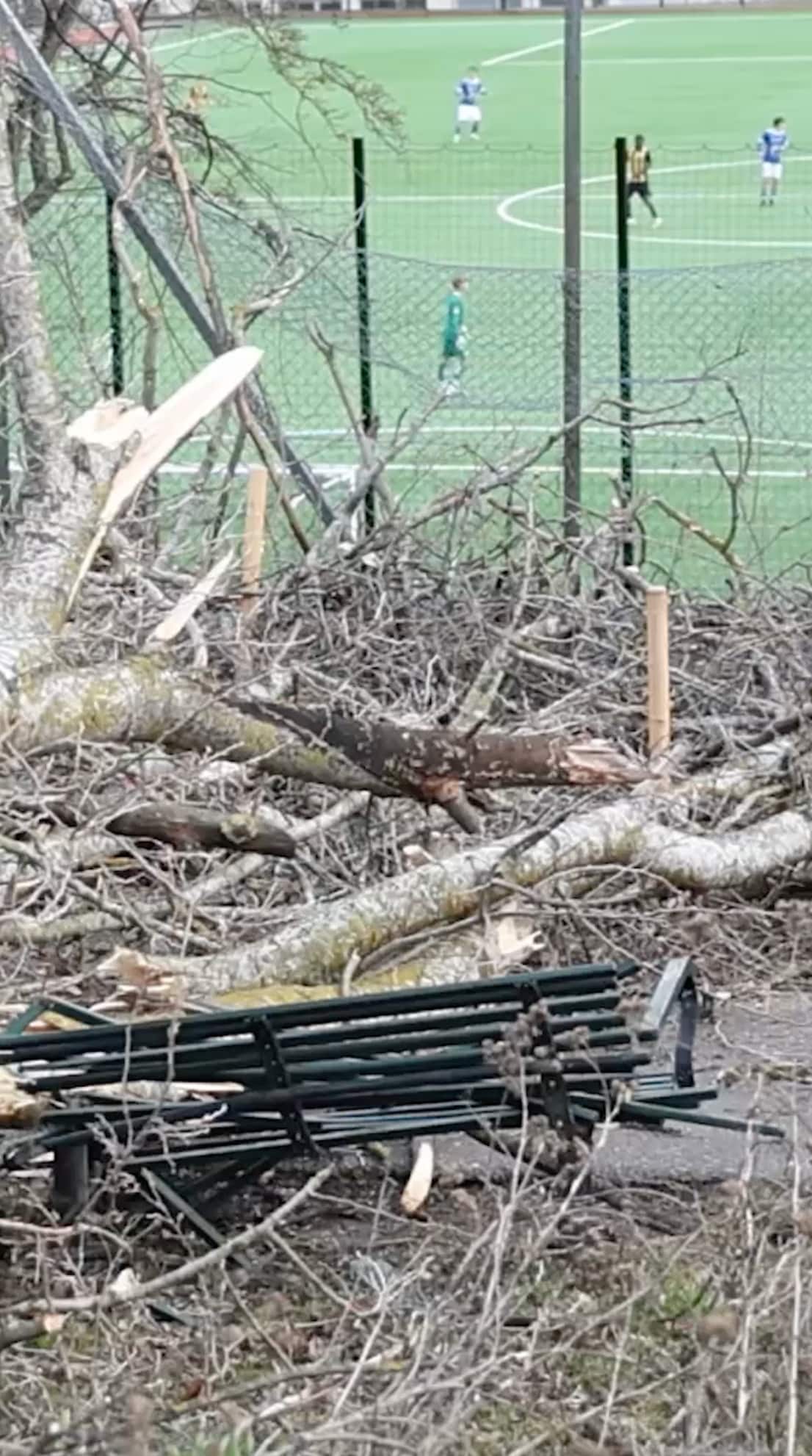 Ung person under träd vid fotbollsplan