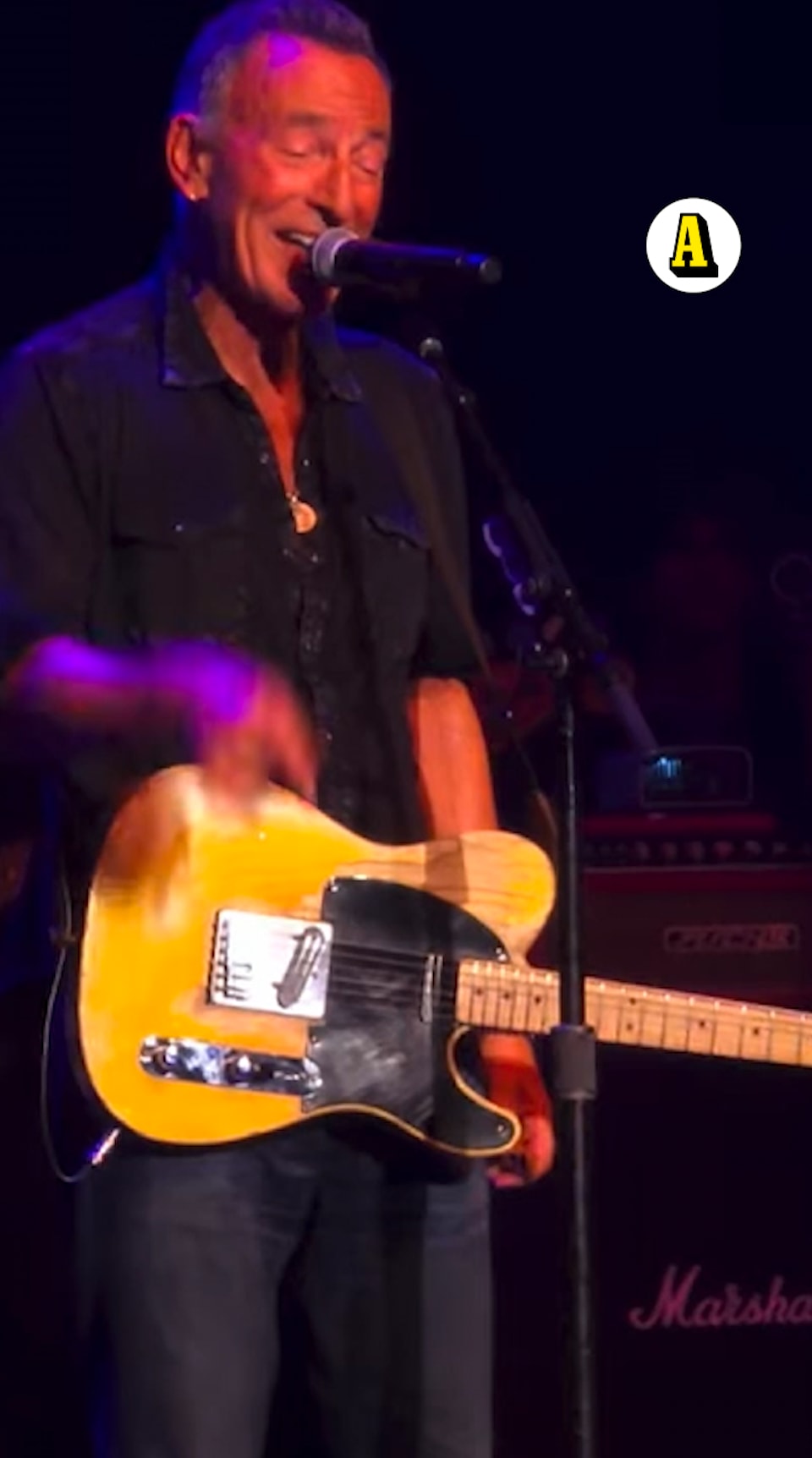 Springsteens kritik mot ICE: ”Gestapo-taktik”