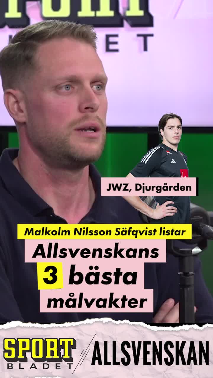 Malkolm Nilsson Säfqvist listar Allsvenskans tre bästa målvakter