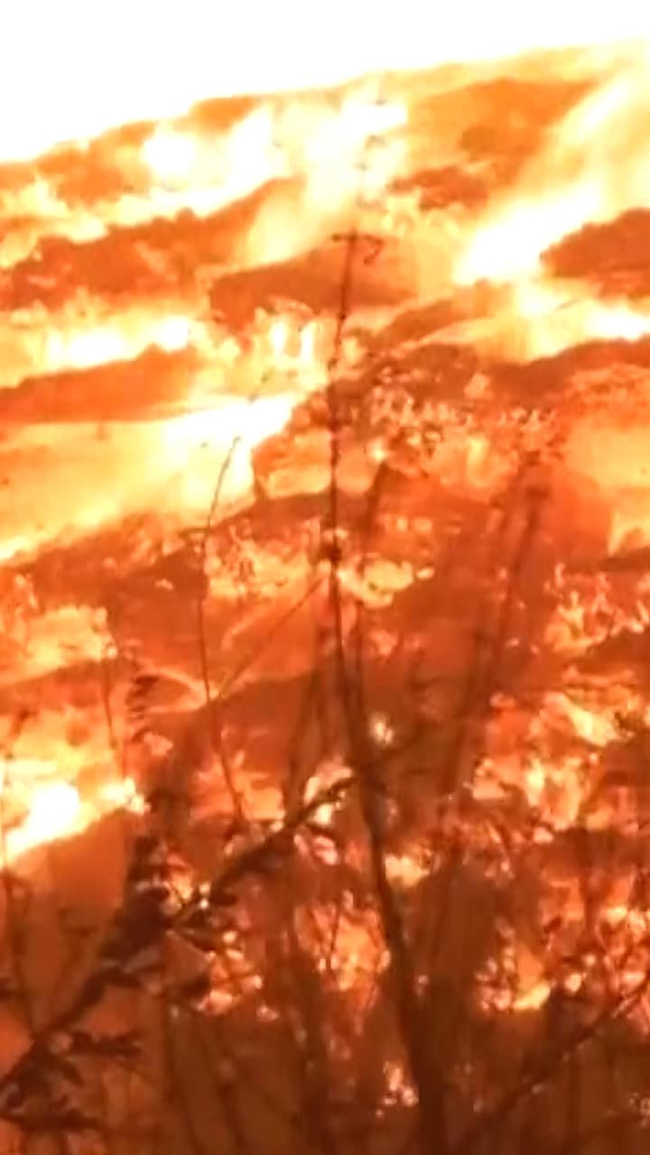 Se bilderna från historiska branden – kan ha startats av misstag