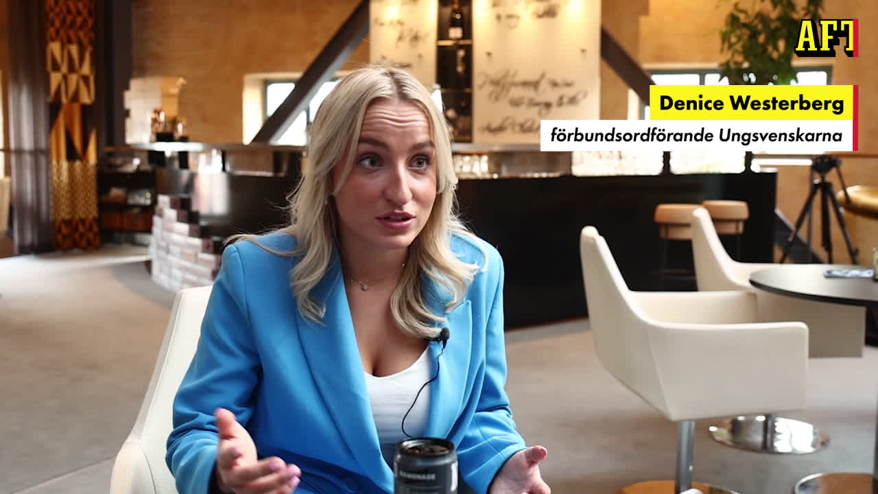 Denice Westerberg: “Ogillar Miljöpartiets klimatpolitik mest”