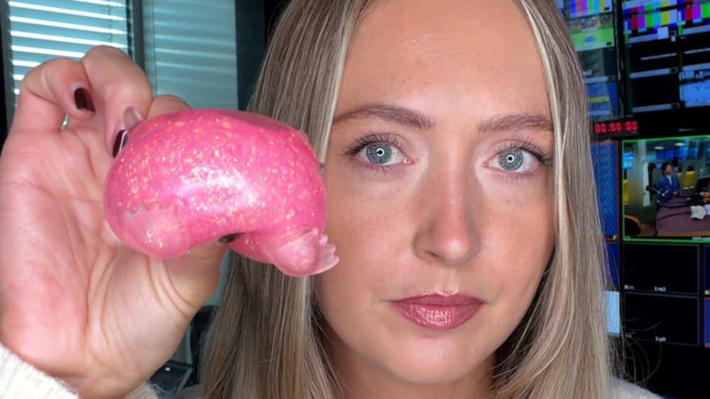 Myndigheter varnar f&ouml;r popul&auml;ra leksaken