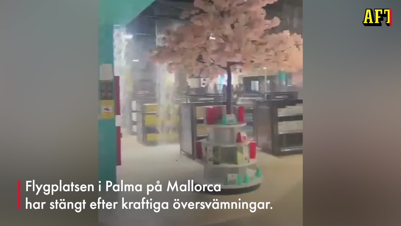 Översvämningskaos på Palma flygplats