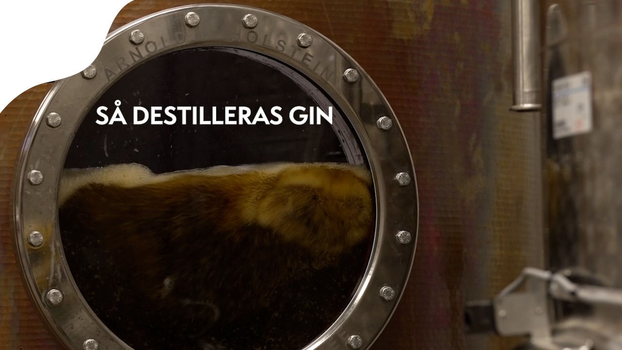 Så destilleras gin