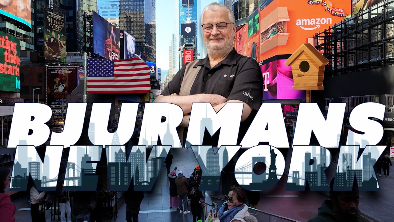 Bjurmans New York – en dag som korre