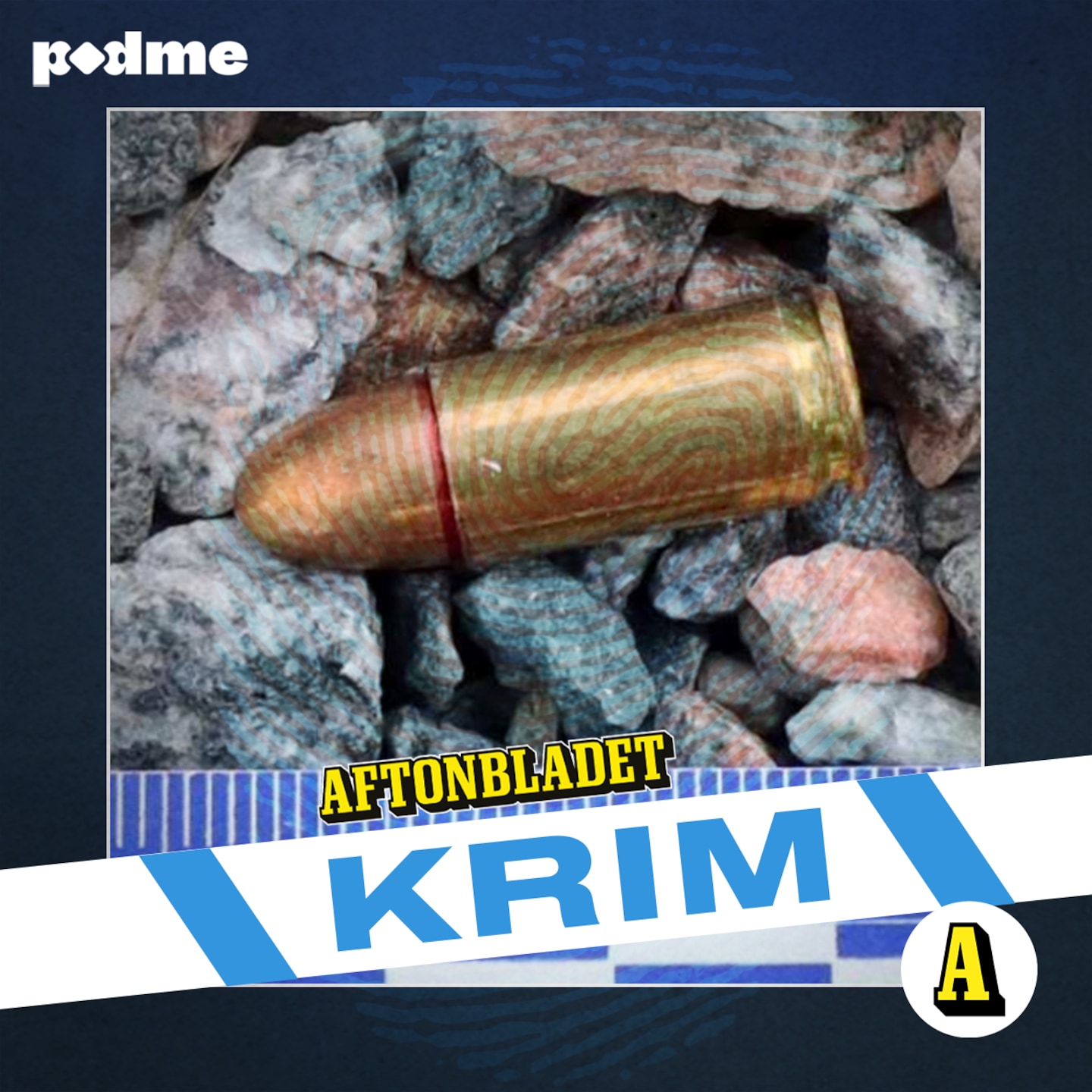 Realitystjärnan & mordkommandot i Eskilstuna episode artwork