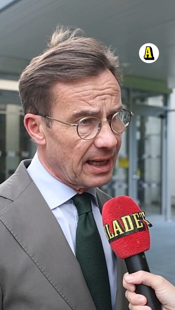 Andersson: ”Bekymrad över Kristerssons totala beroende av Stegrud”