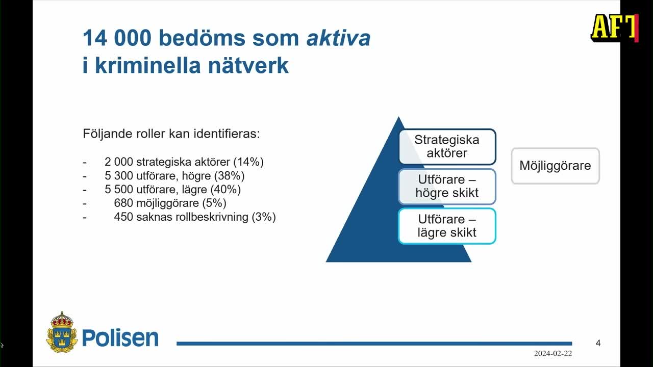 Rikspolischefen: Här är rollerna de 62 000 gängkriminella har