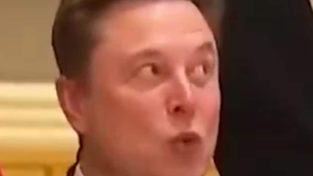 Elon Musk stal showen i Peking