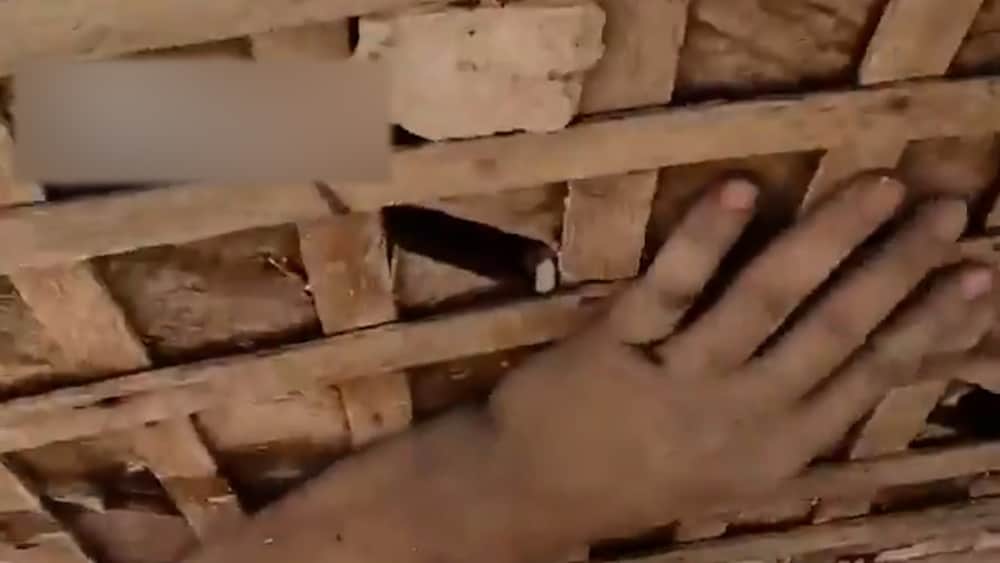 R&auml;ddas ur bombade huset &rdquo;Du lever!&rdquo;