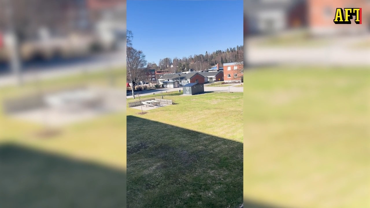 Hör fågelskrämman som förbryllar de boende