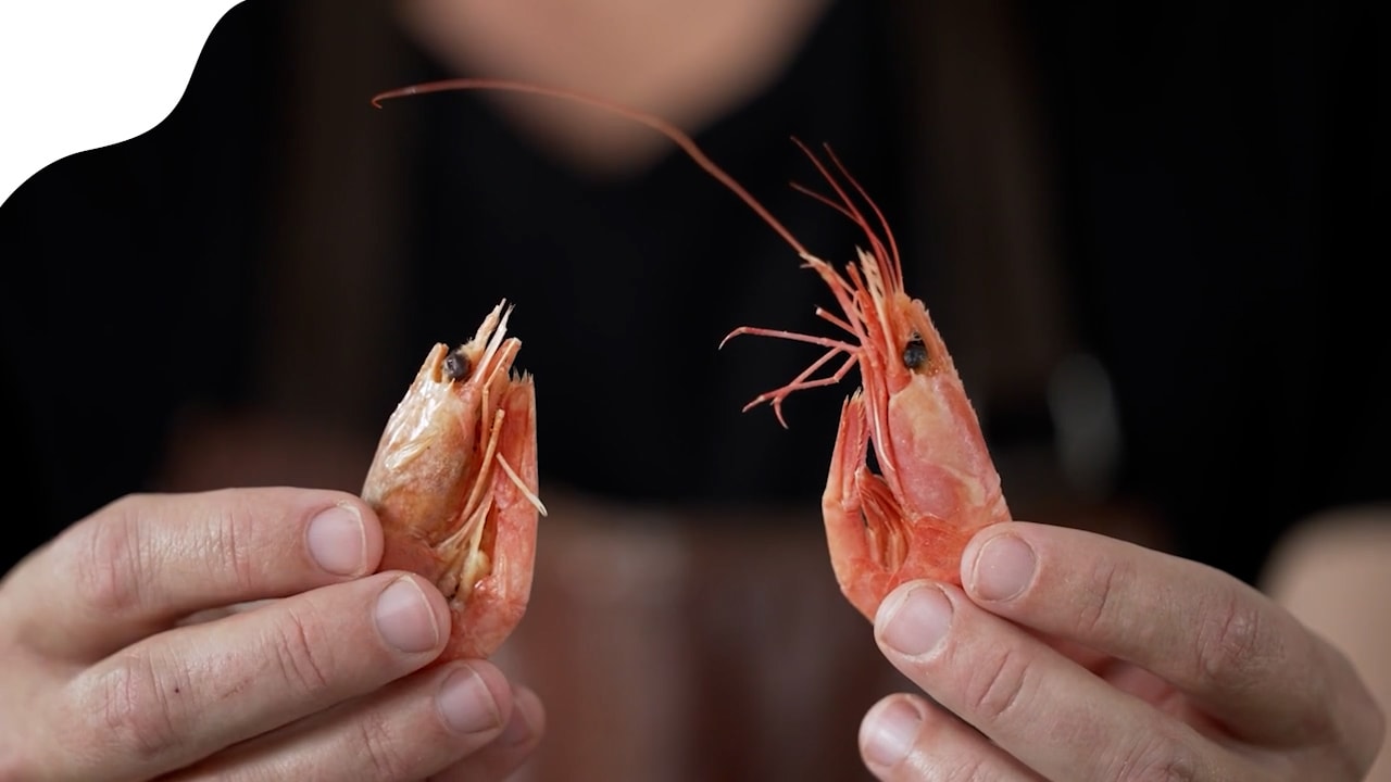 Så väljer du rätt räkor i butik