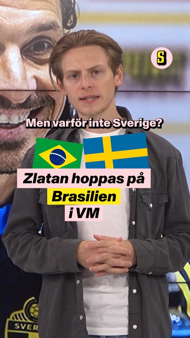 Zlatan Ibrahimovic: ”Jag hoppas på Brasilien i VM”