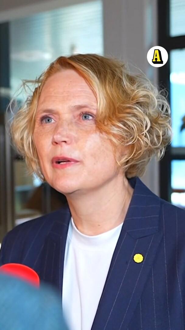 Anna–Karin Hatt (C):&quot; Eftersträvar inte lugn och ro&quot;