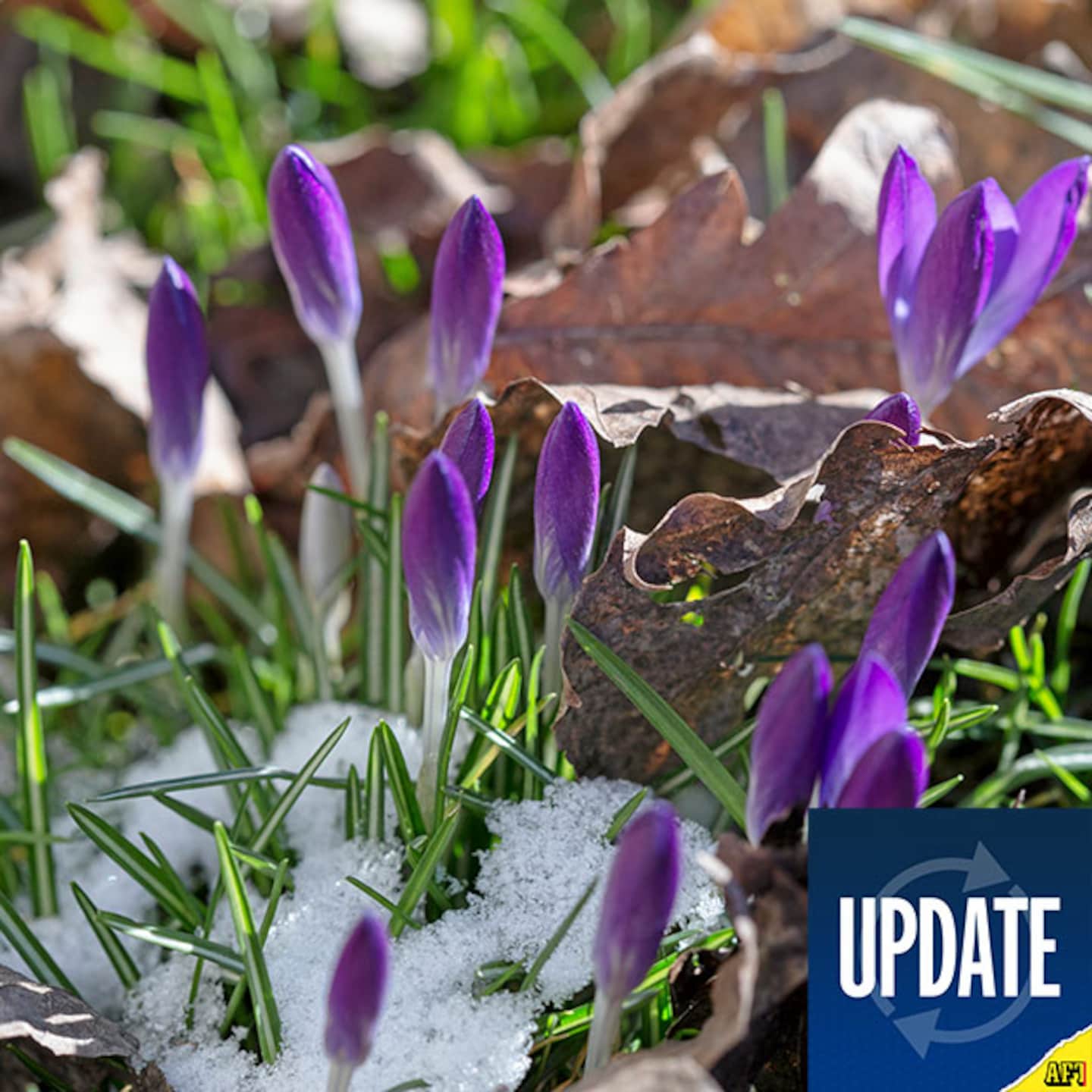 Nyhetssammanfattning – 5 mars 07.30