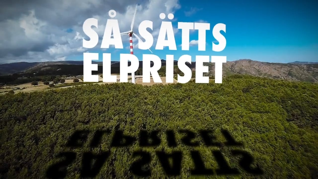 Så sätts elpriset