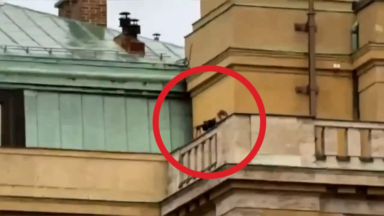 Polisens filmer: Här jagas skytten i Prag