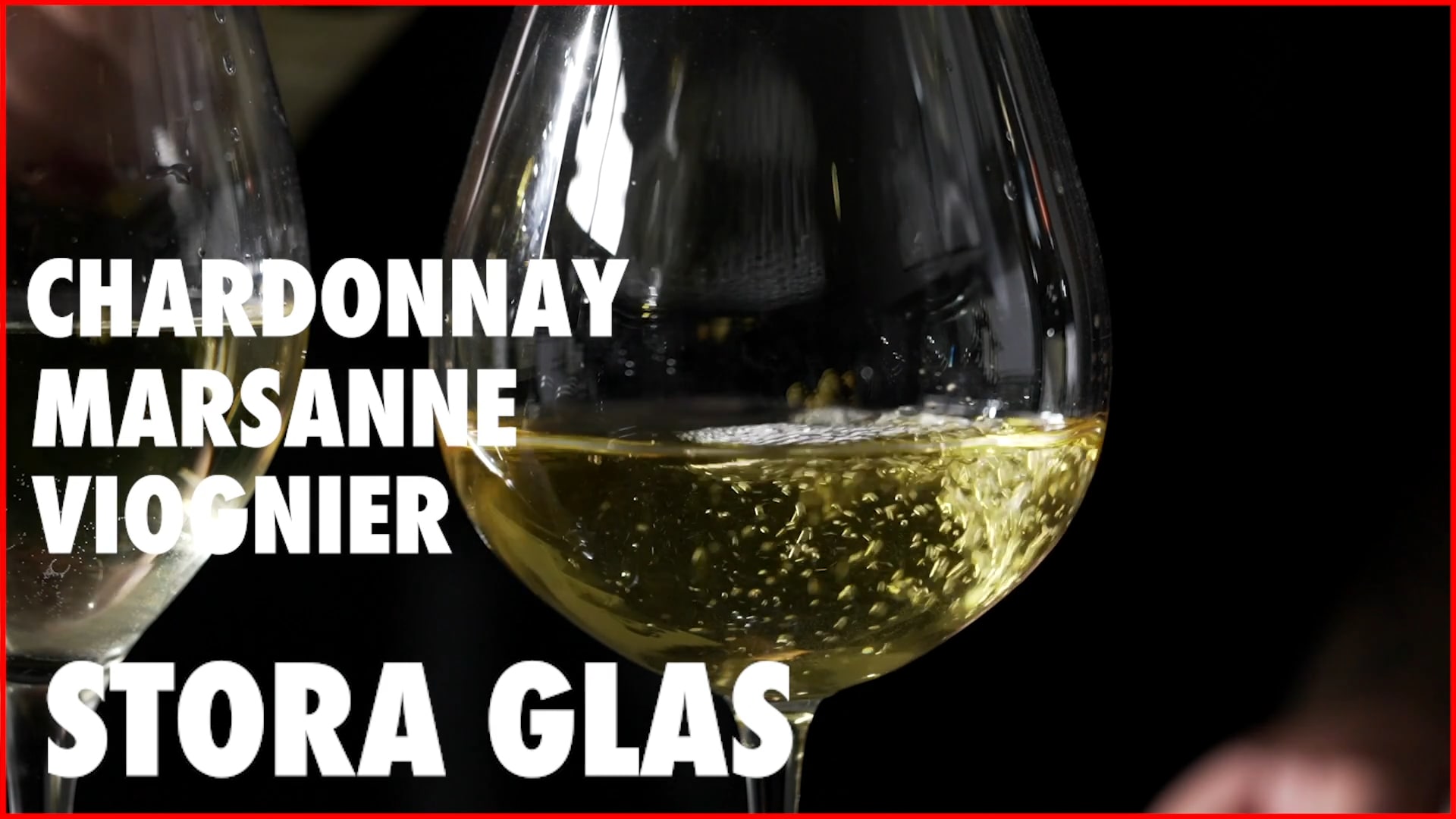 Så väljer du rätt glas till rätt vin