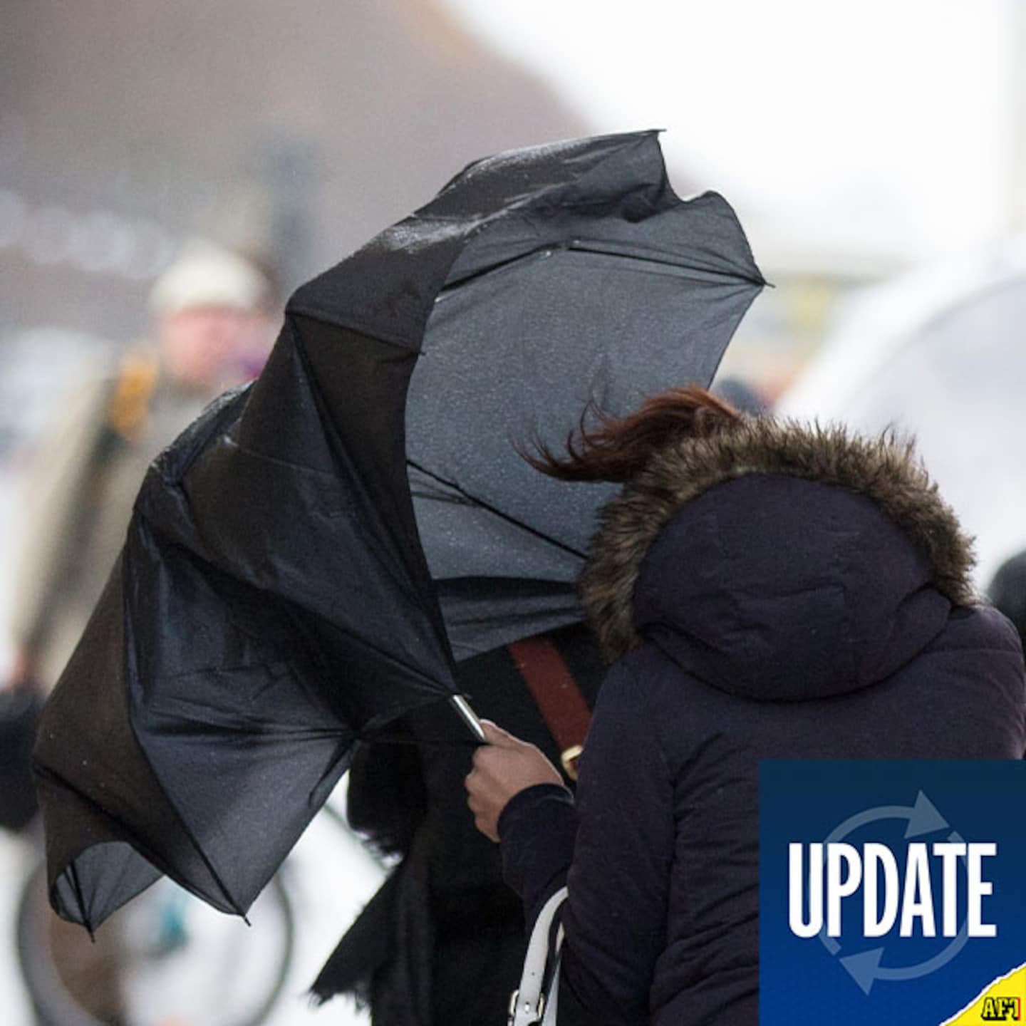 Nyhetssammanfattning – 5 december 22.00 Nyhetssammanfattning – 5 december 22.00