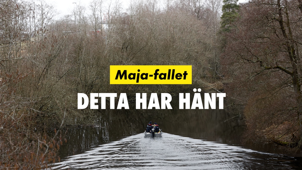 Maja-fallet – detta har hänt