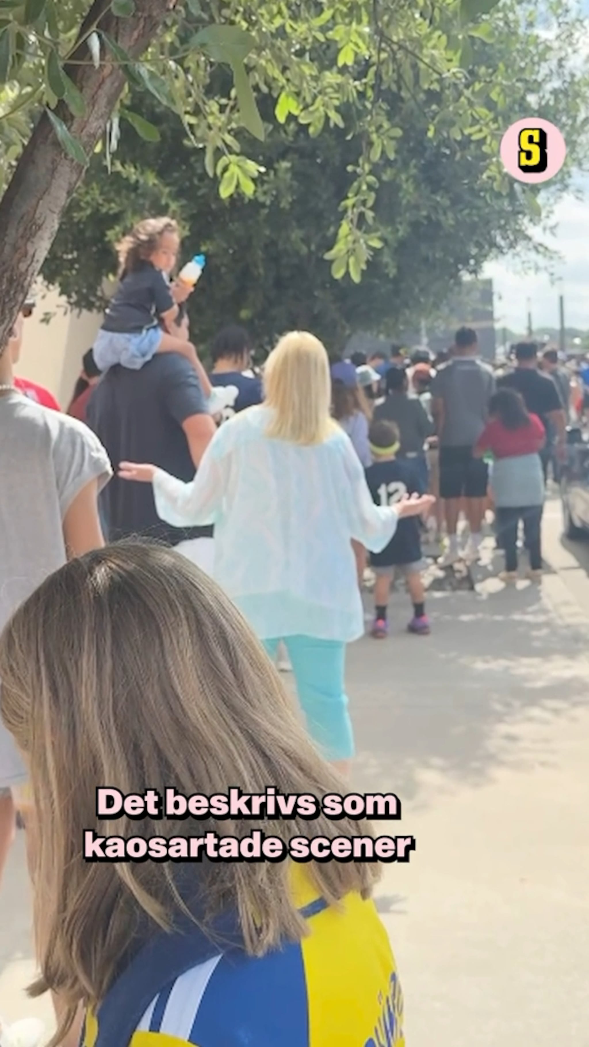 Svenska fans portade i VM