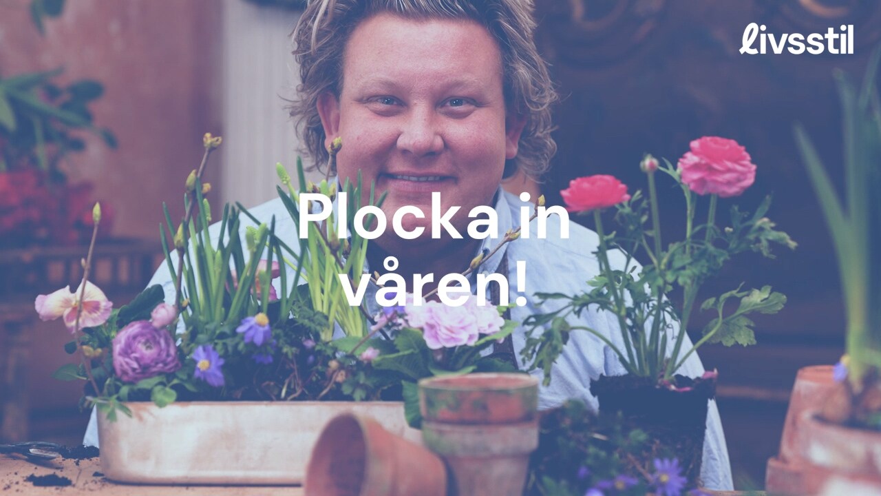 Karl Fredriks bästa tips - ta in våren i ditt hem