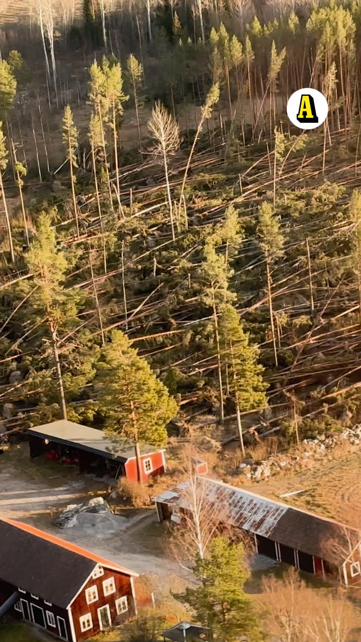 Stormdrabbade området från ovan: ”Bedrövligt att se”