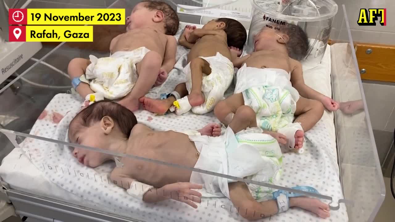 31 bebisar evakuerade från al-Shifa sjukhuset i Gaza