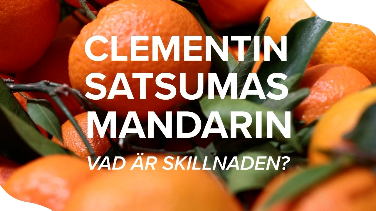 Skillnaden mellan clementiner, satsumas och mandariner