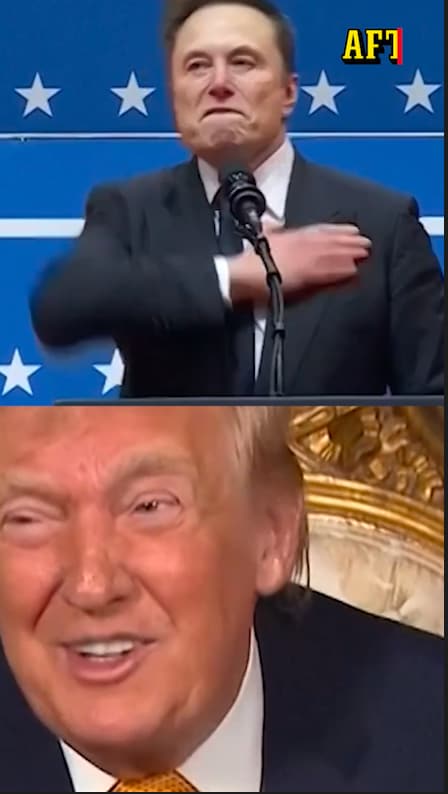 Donald Trumps första år: hårda ord, ”fredsmäklaren” och bombanfall