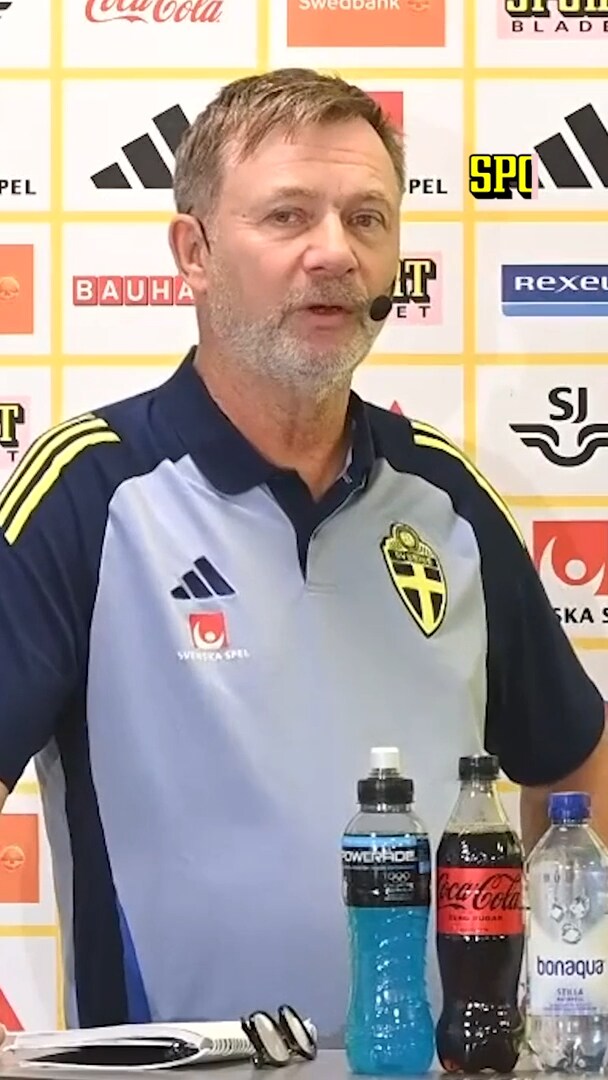 Sveriges trupp i viktiga playoff-matcherna