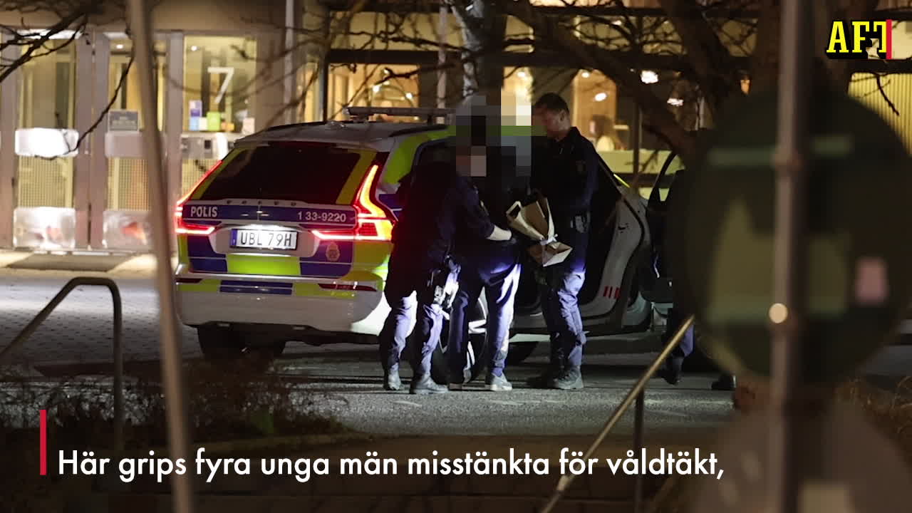 Fyra man gripna misstänkt för våldtäkt