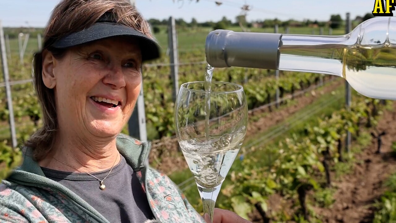 Fler gårdar i Skåne satsar på vin
