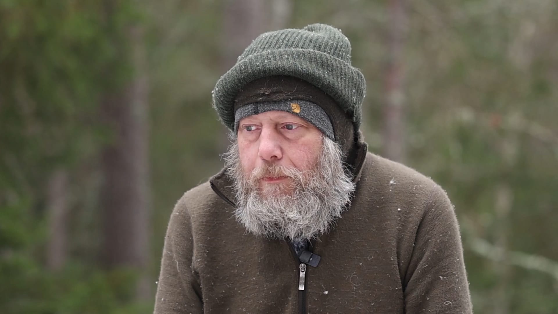 Vinterskogen – Kliver åt sidan