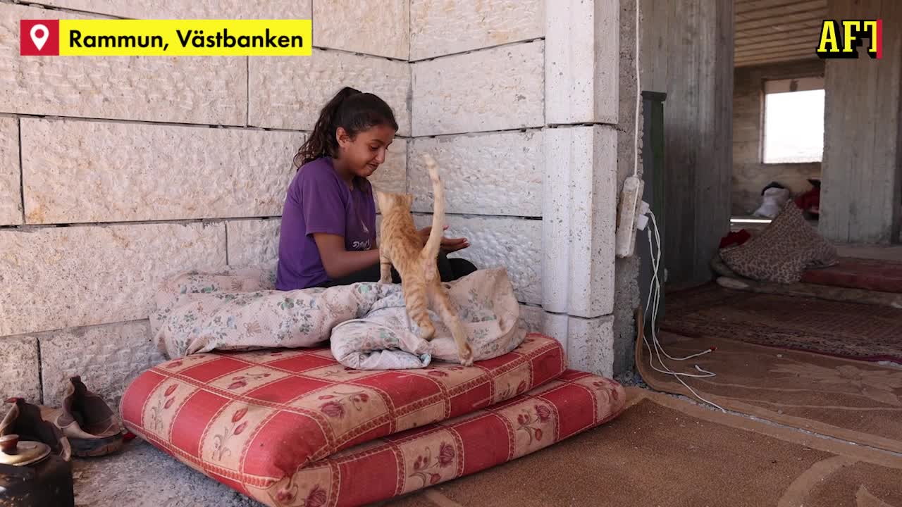 Raawa,11, trakasseras av israeliska bosättare