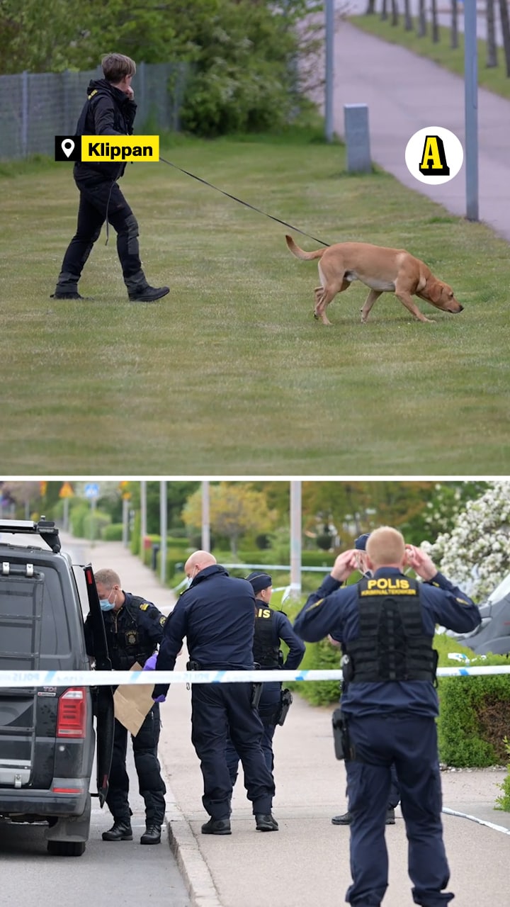 Polisen misstänker dubbelmord – äldre gift par hittats döda