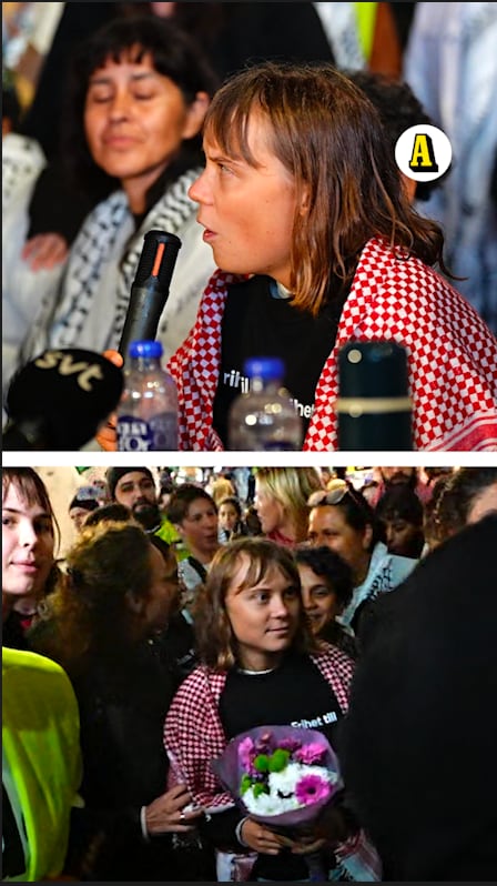 Greta Thunberg: 