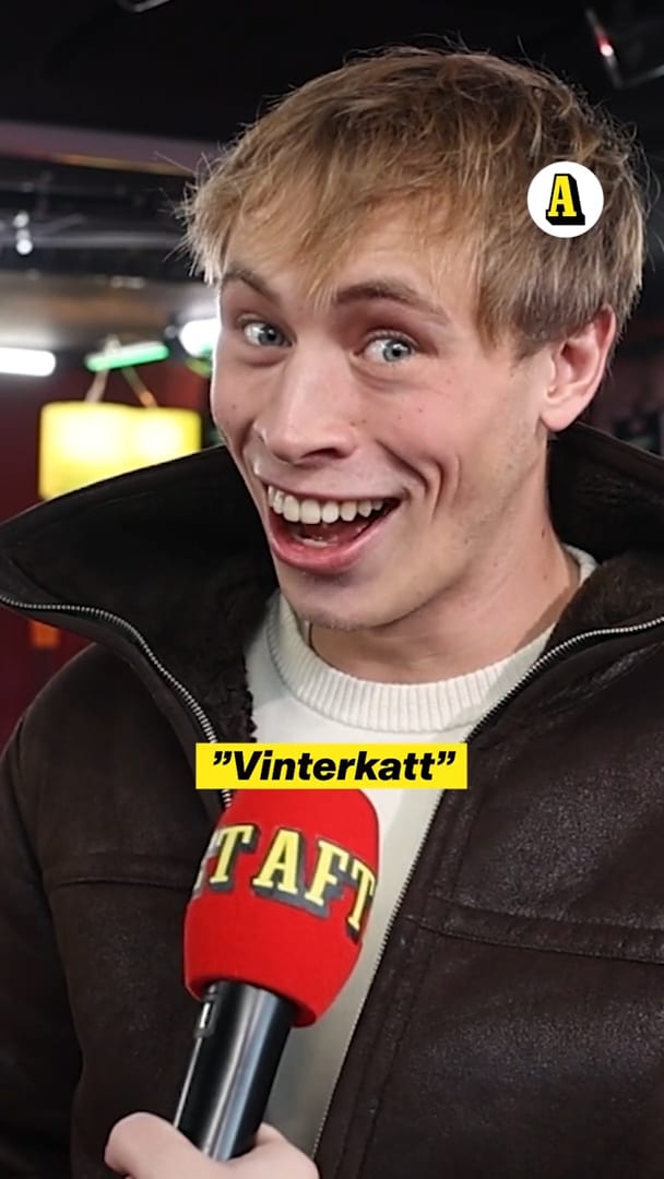 Programledarna i buren: ”Pirrigt”