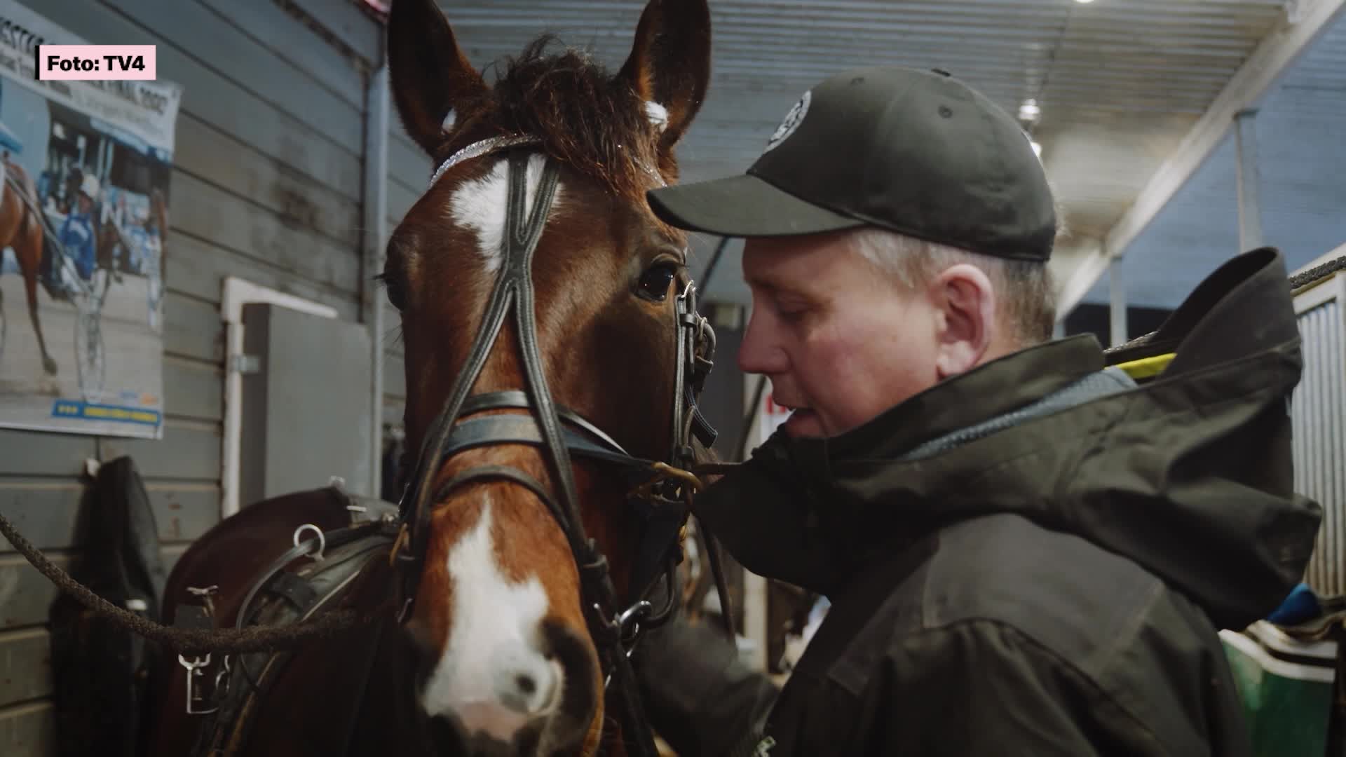 Westholm: ”Ont i hela kroppen”