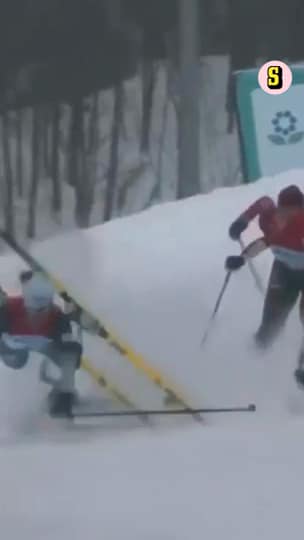 Rysk hund skapar kaos