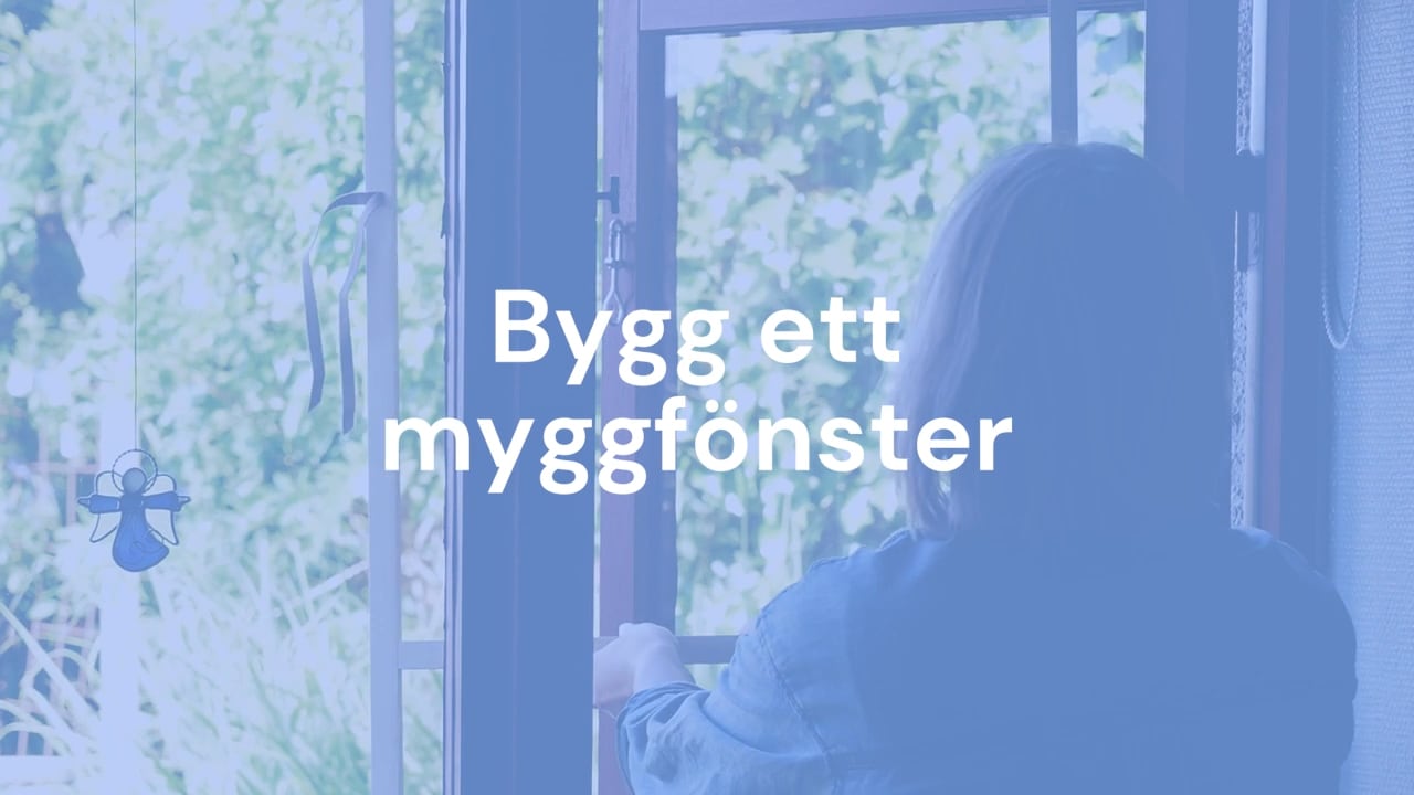 Så gör du egna myggfönster