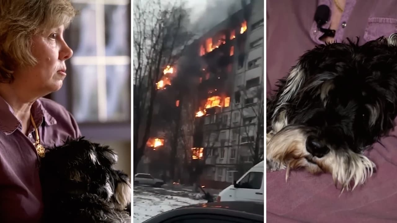 Hennes man dödades av stridsvagnen: ”Tyson räddade mitt liv”